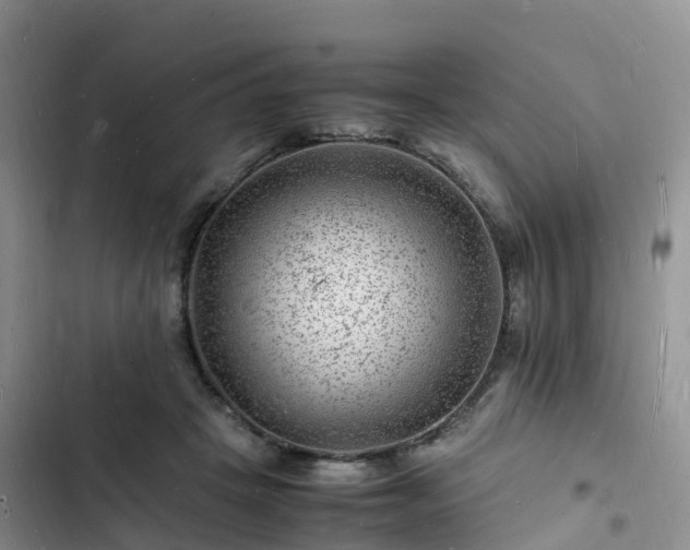 X0000102780457200808251120