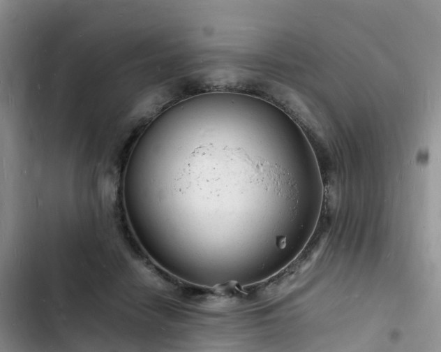 X0000102780458200808251120