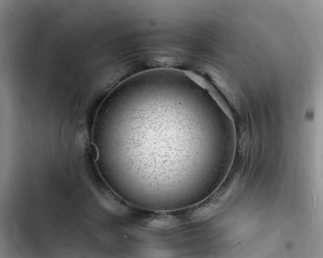 X0000102780459200808251120