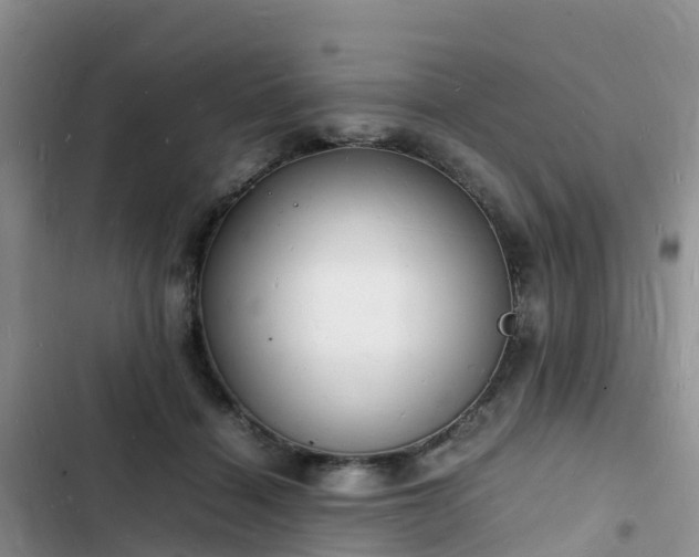 X0000102780460200808251120