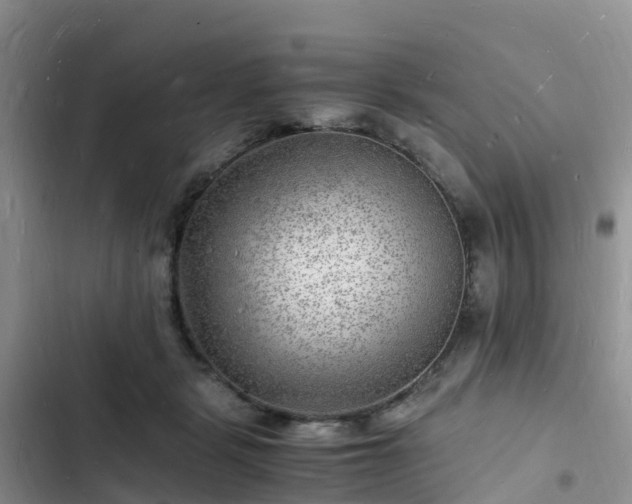 X0000102780461200808251120