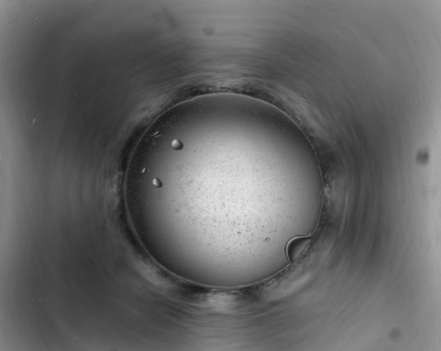 X0000102780462200808251120