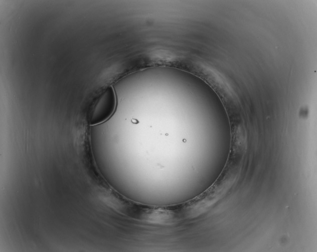 X0000102780463200808251120