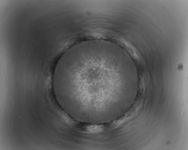 X0000102780465200808251120