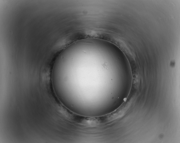 X0000102780466200808251120