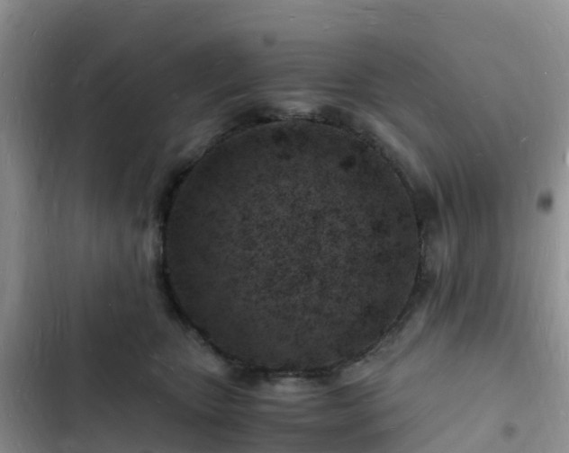 X0000102780467200808251120