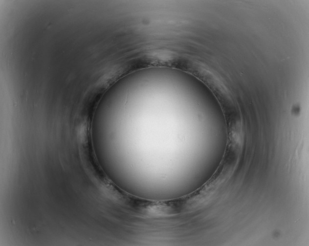 X0000102780468200808251120