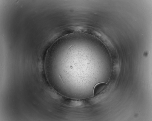 X0000102780469200808251120