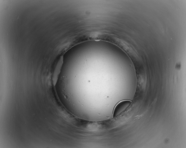 X0000102780470200808251120