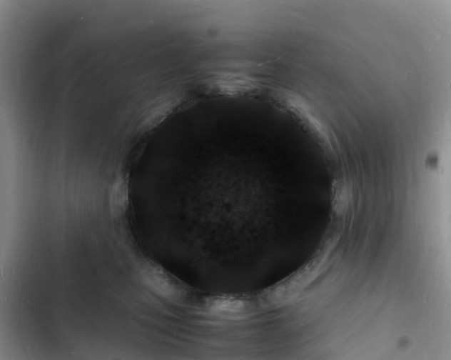 X0000102780471200808251120