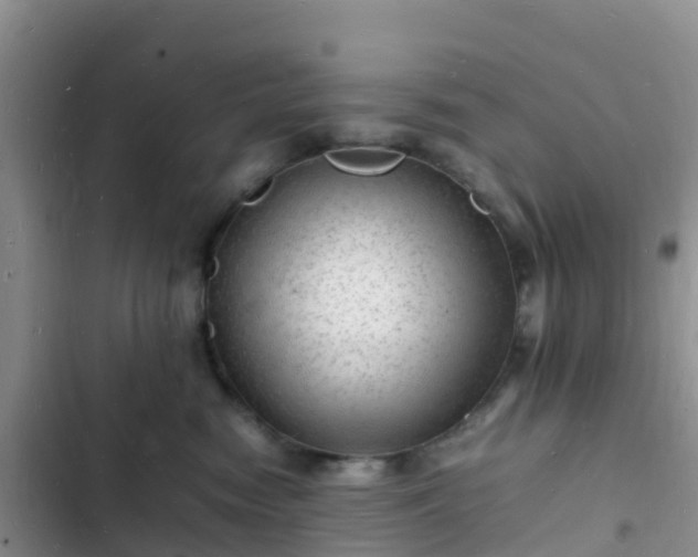 X0000102780474200808251120