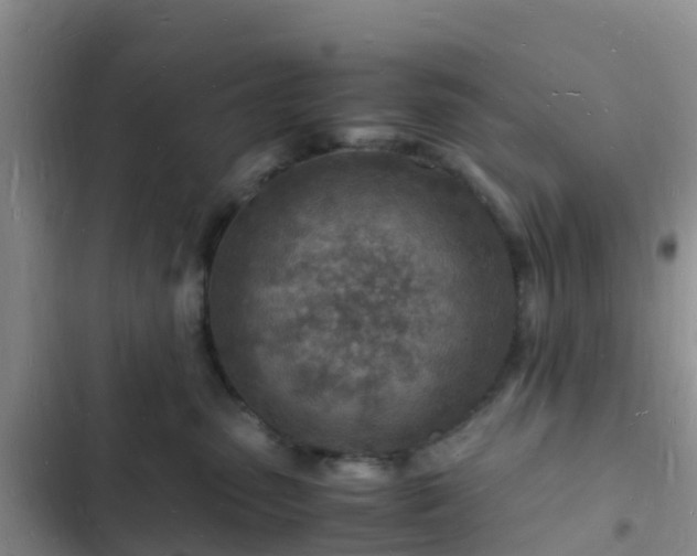 X0000102780475200808251120