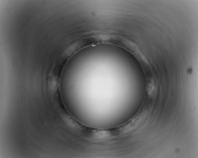 X0000102780476200808251120