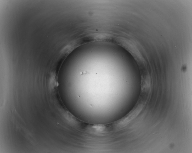 X0000102780478200808251120