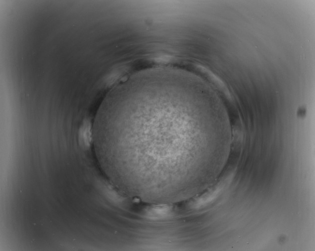 X0000102780479200808251120