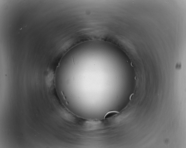 X0000102780480200808251120