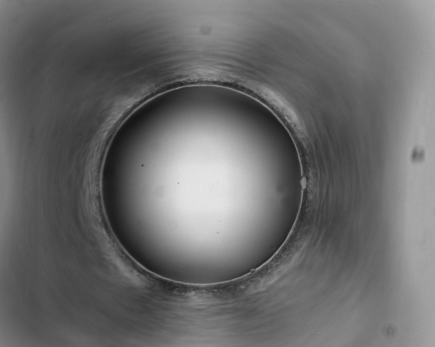 X0000102780481200808251119