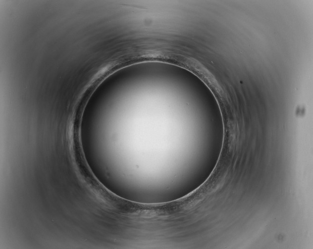 X0000102780482200808251119