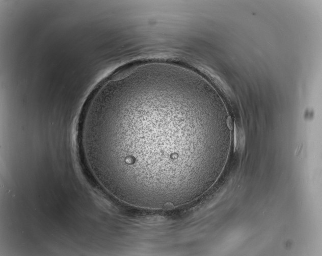 X0000102780483200808251119