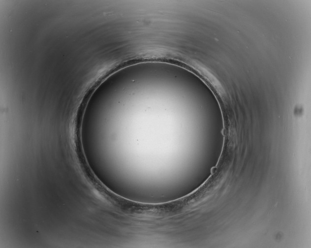 X0000102780485200808251119