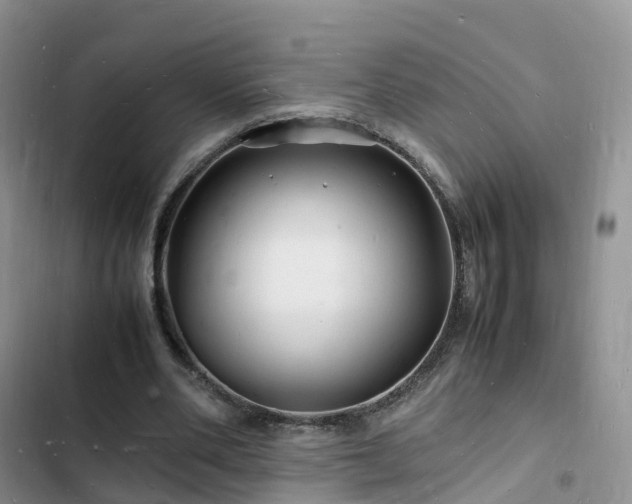 X0000102780486200808251119