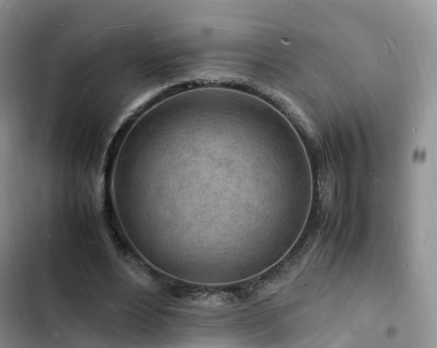 X0000102780488200808251119