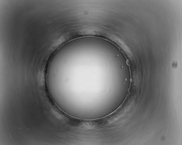 X0000102780489200808251119