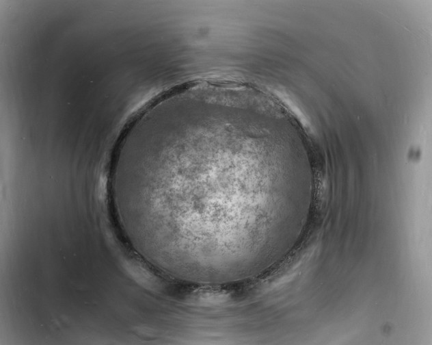 X0000102780491200808251119