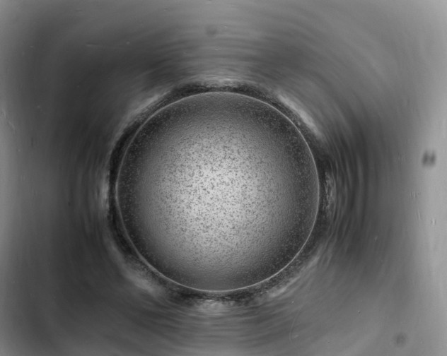 X0000102780494200808251119