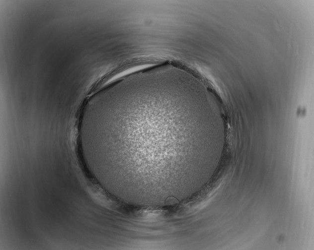 X0000102780495200808251119