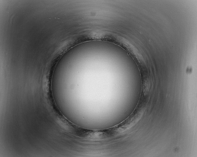 X0000102780497200808251119