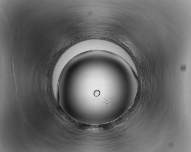 X0000102780499200808251119