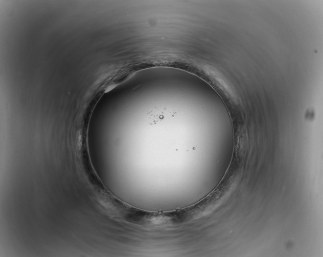 X0000102780501200808251119