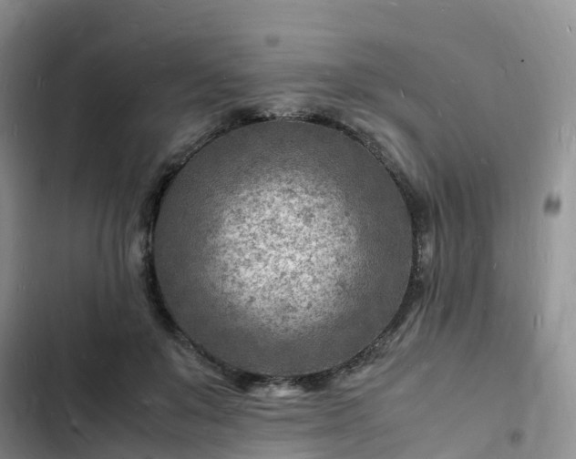 X0000102780503200808251119