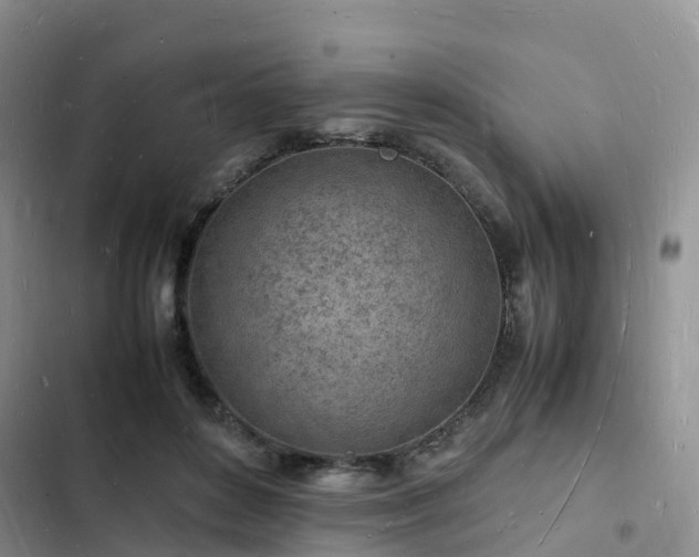 X0000102780504200808251119