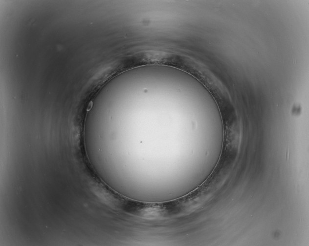 X0000102780505200808251119