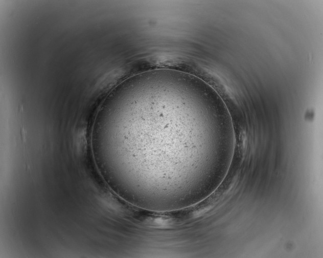 X0000102780506200808251119