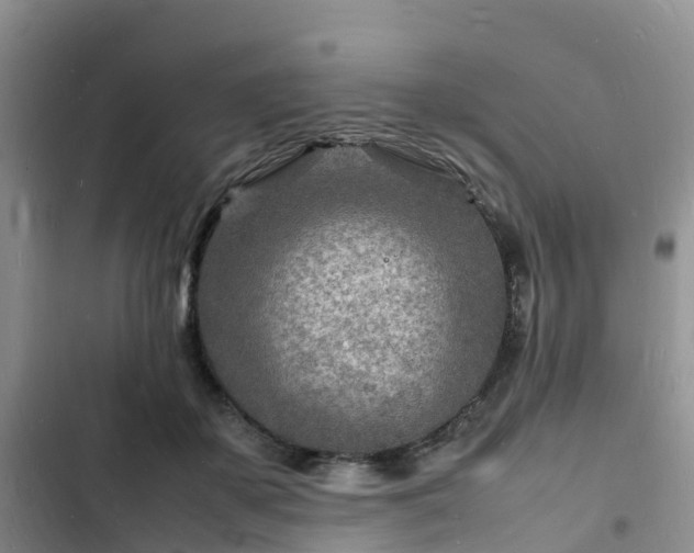 X0000102780507200808251119