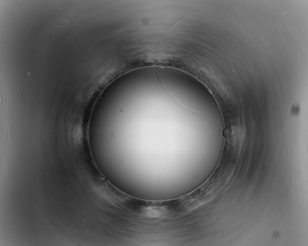 X0000102780508200808251119