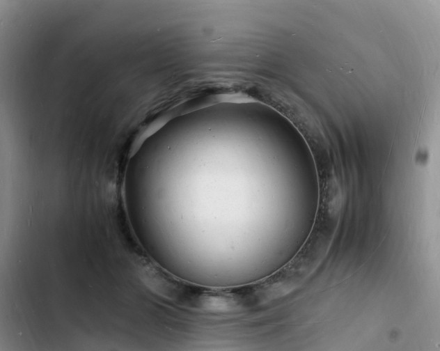 X0000102780510200808251119