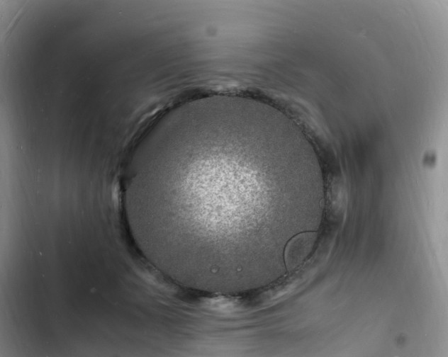 X0000102780511200808251119