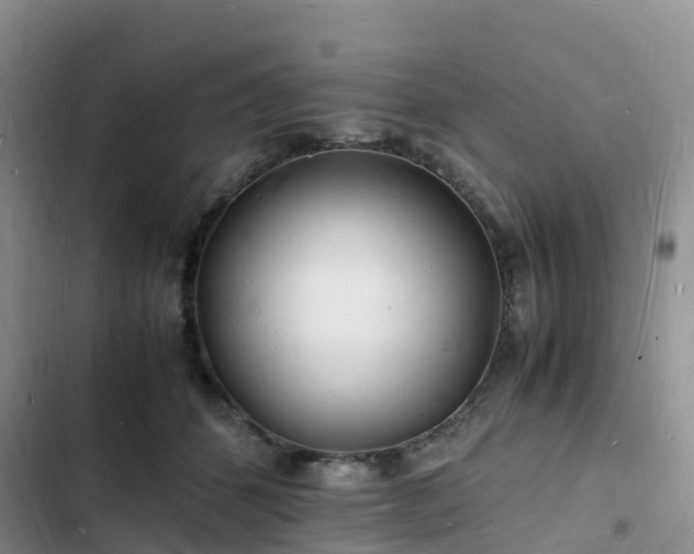 X0000102780512200808251119