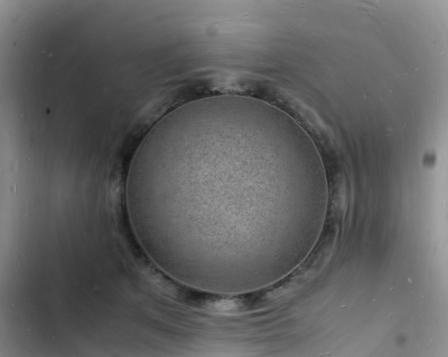 X0000102780513200808251119