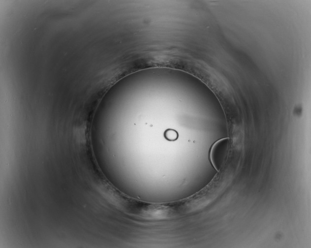 X0000102780514200808251119