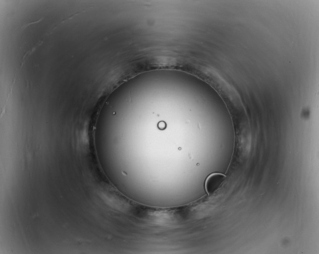 X0000102780516200808251119