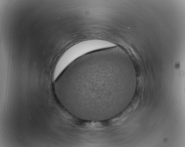 X0000102780517200808251119