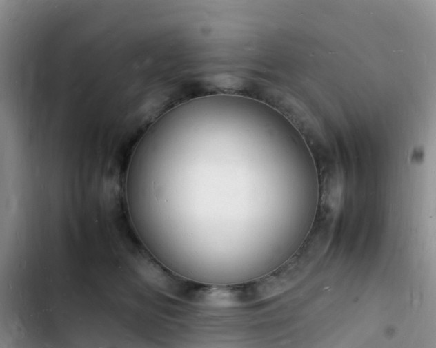 X0000102780518200808251119