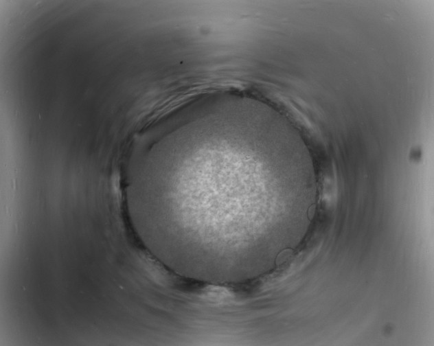 X0000102780519200808251119