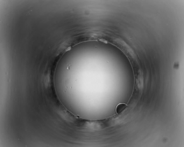 X0000102780520200808251119