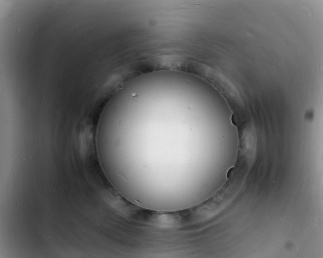 X0000102780522200808251119